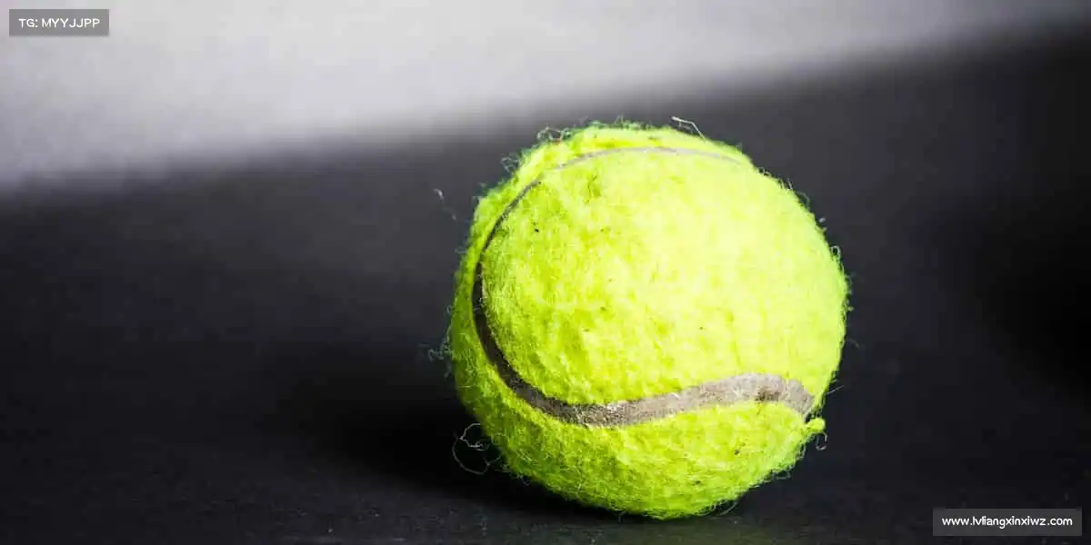 我们的品牌价值